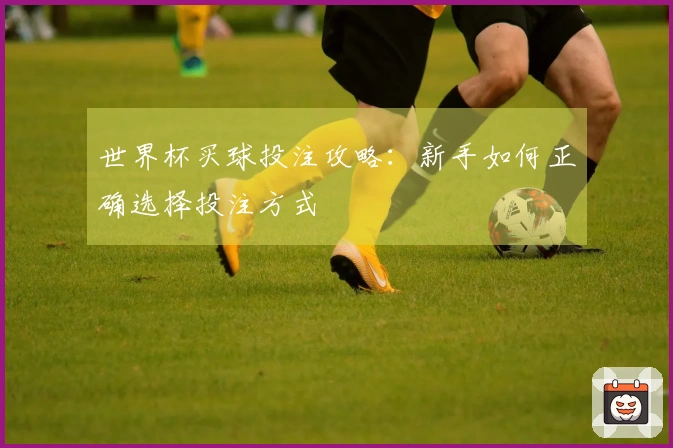 世界杯买球投注攻略：新手如何正确选择投注方式