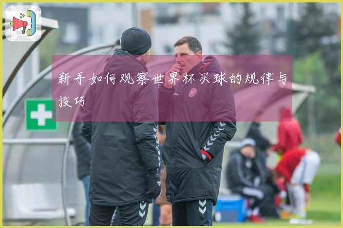 新手如何观察世界杯买球的规律与技巧