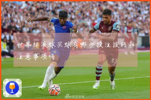 世界杯滚球买球有哪些投注技巧和注意事项吗