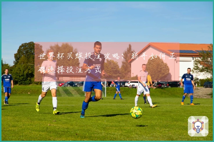 世界杯买球投注攻略：新手如何正确选择投注方式