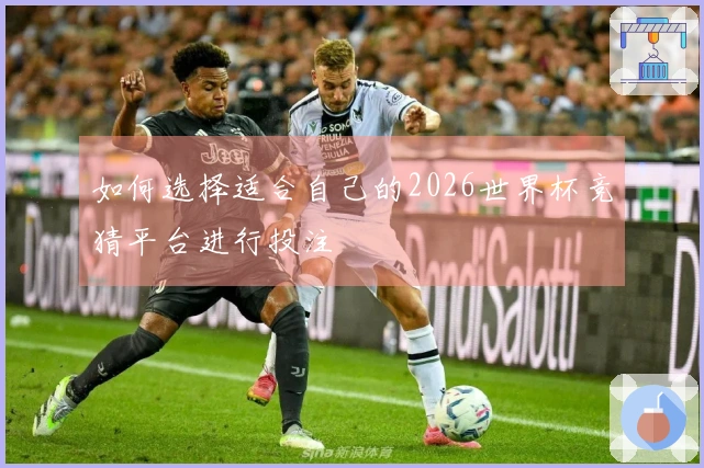 如何选择适合自己的2026世界杯竞猜平台进行投注