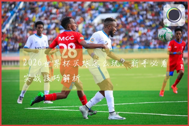 2026世界杯买球怎么玩？新手必看实战技巧解析