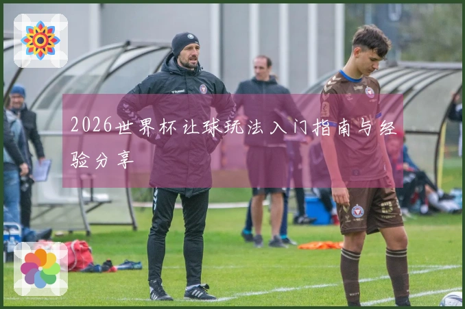2026世界杯让球玩法入门指南与经验分享