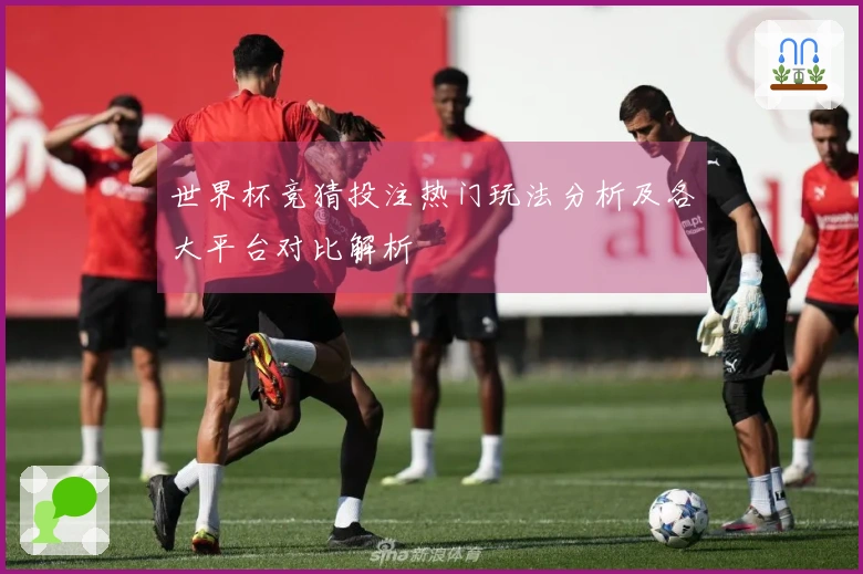 世界杯竞猜投注热门玩法分析及各大平台对比解析