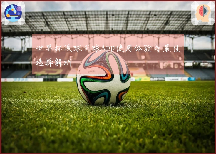 世界杯滚球买球App使用体验与最佳选择解析